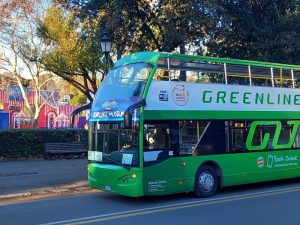 GRAY LINE-I LOVE ROME